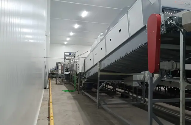 Equipo de clasificación instalado en una sala agroalimentaria