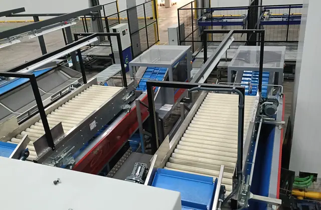 Transportadores de una línea de manipulado agroalimentario